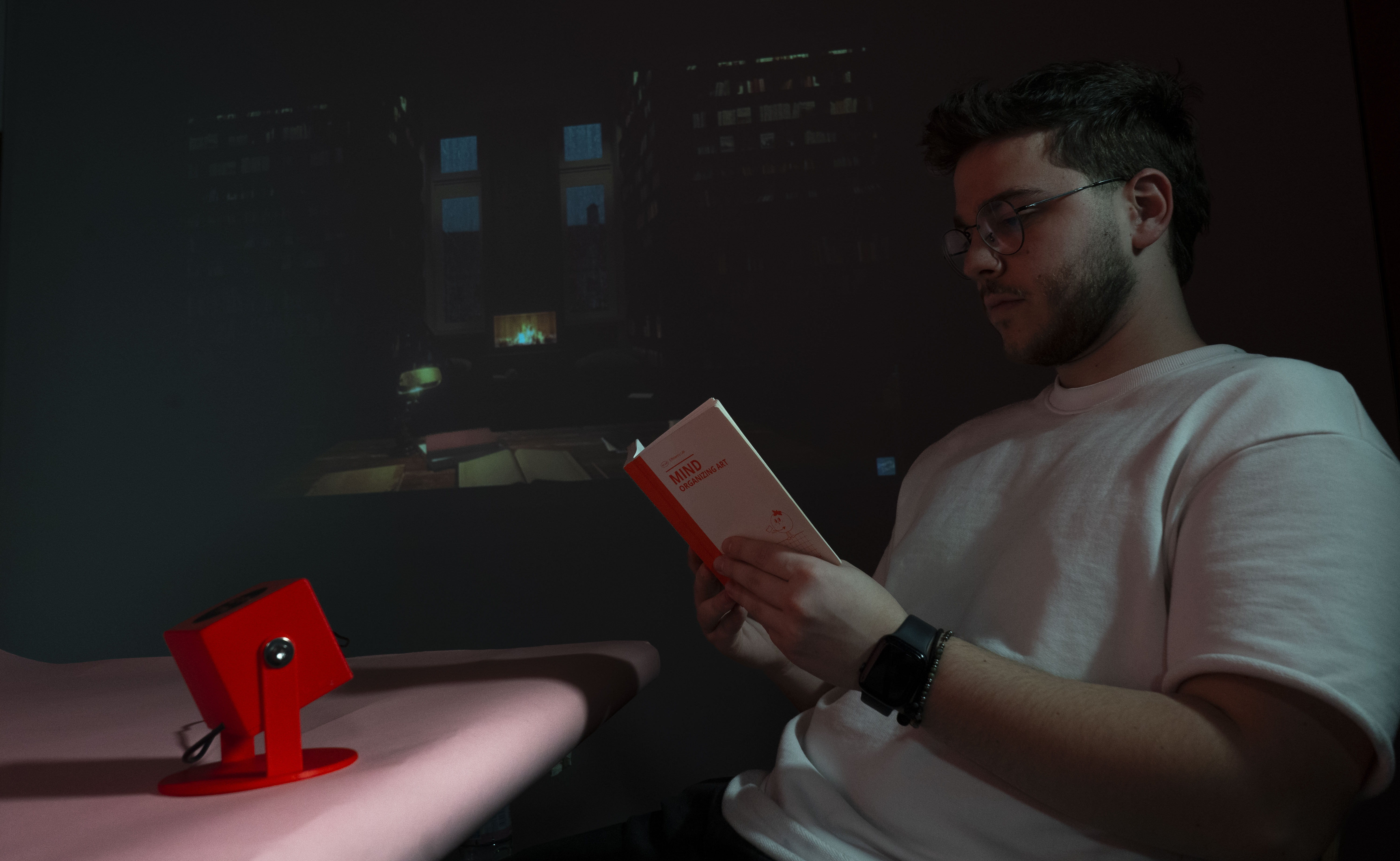 Wall Saver setup view 3