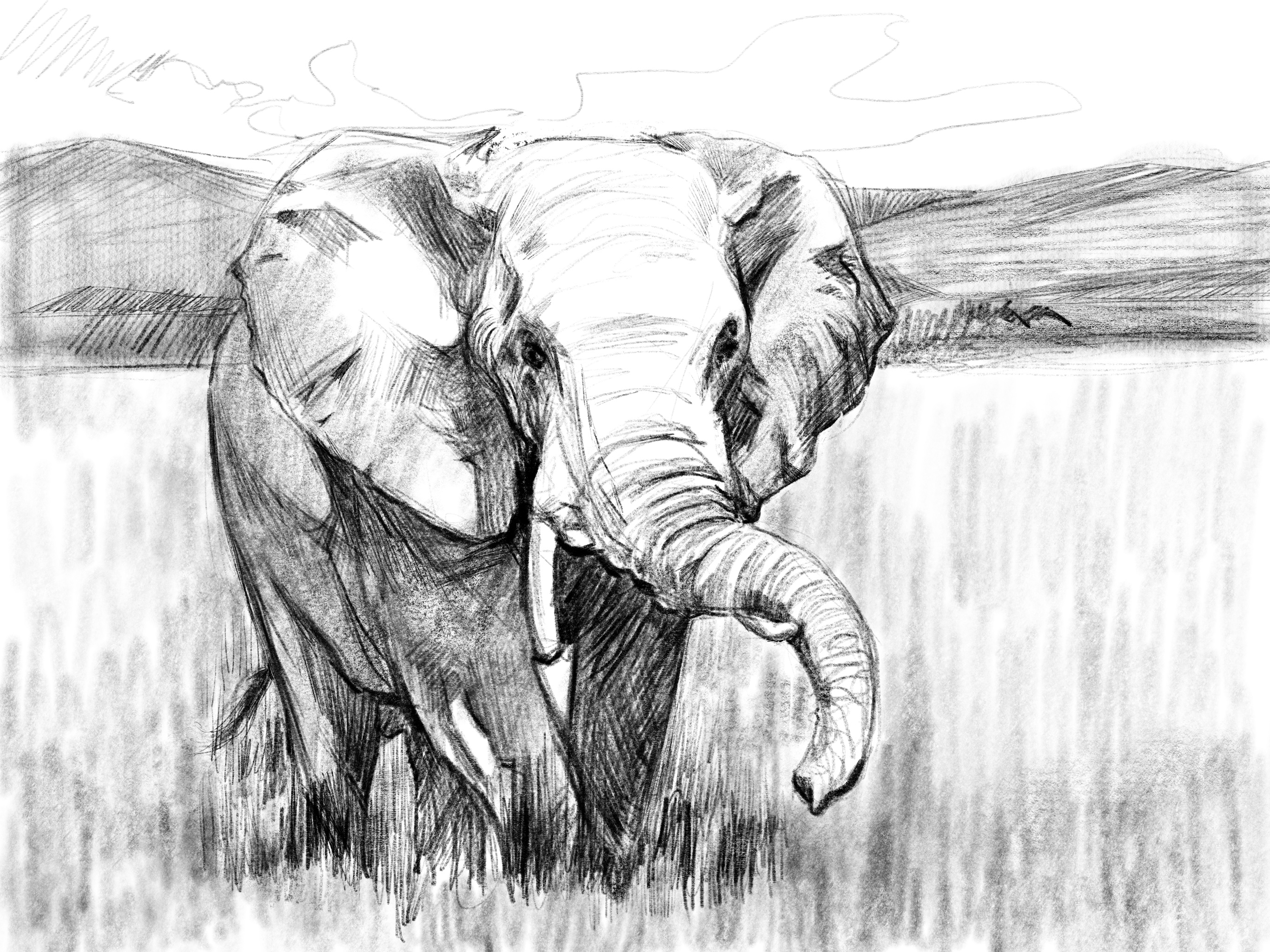 Painting Elefante